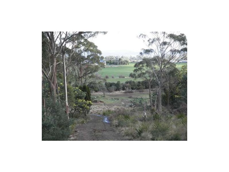 198 Lilydale Road, Rocherlea TAS 7248