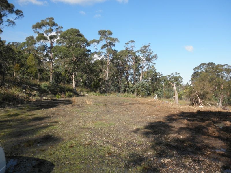 198 Lilydale Road, Rocherlea TAS 7248