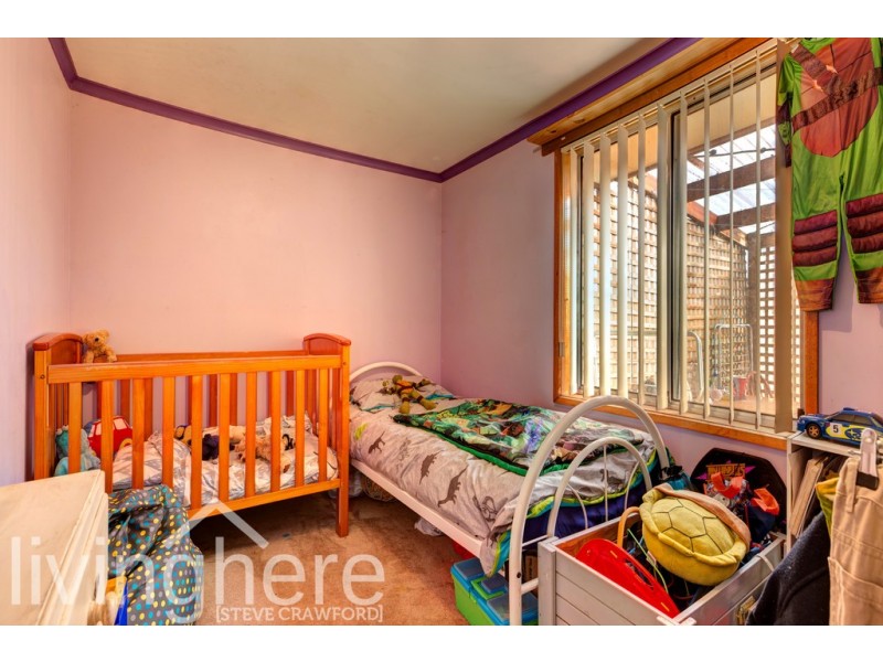 5 Mcgilp Street, Scottsdale TAS 7260