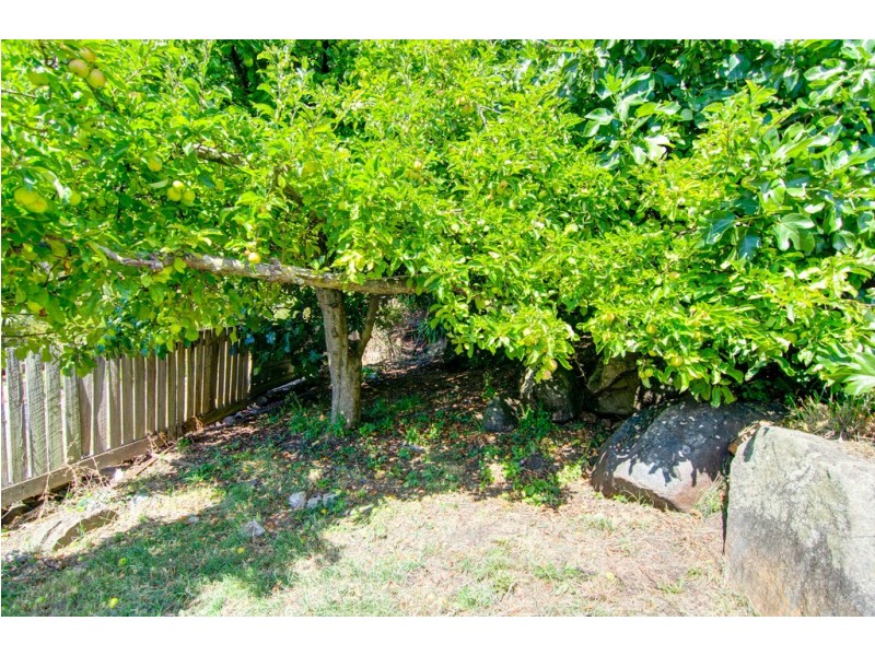 119 West Tamar Road, Trevallyn TAS 7250
