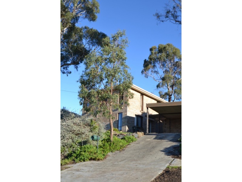 38 New World Avenue, Trevallyn TAS 7250