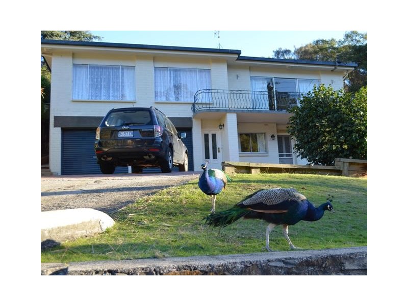 67 Basin Road, West Launceston TAS 7250