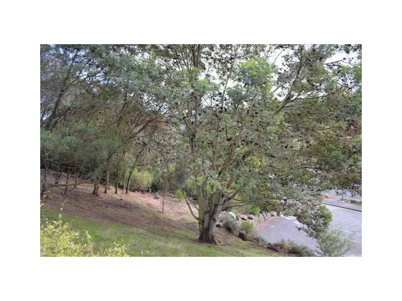 67 Basin Road, West Launceston TAS 7250