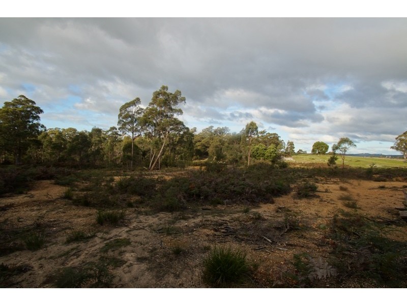 19 Possum Road, Beaconsfield TAS 7270