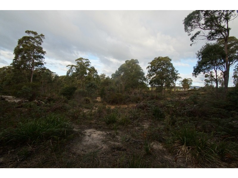 19 Possum Road, Beaconsfield TAS 7270