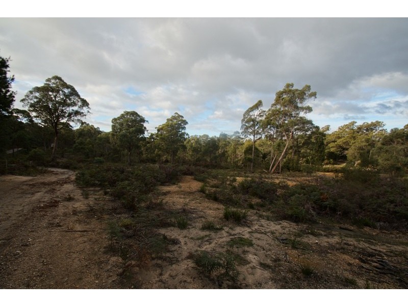 19 Possum Road, Beaconsfield TAS 7270