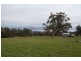 1232 Windermere Road, Swan Bay TAS 7252