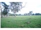1232 Windermere Road, Swan Bay TAS 7252