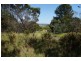 113A Ravenswood Road, Ravenswood TAS 7250