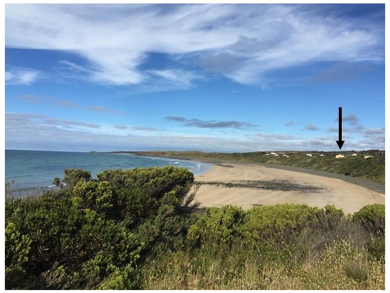 110 Bell Buoy Beach Road, Low Head TAS 7253