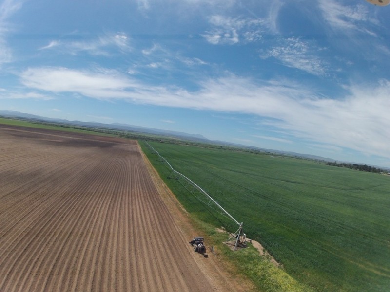 Epping Forest TAS 7211