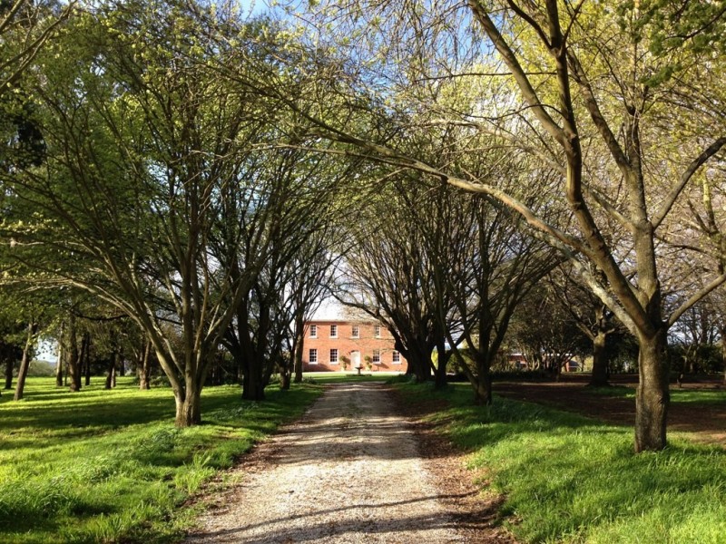 Epping Forest TAS 7211