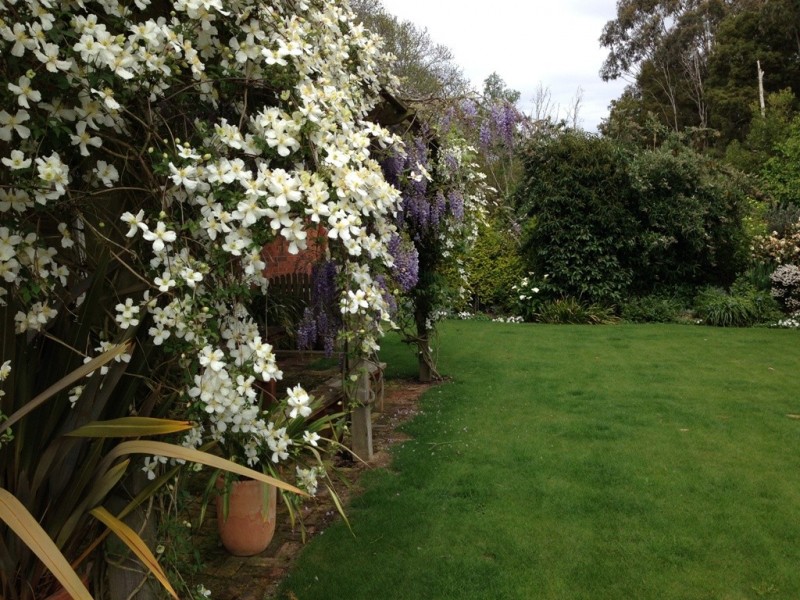 Epping Forest TAS 7211