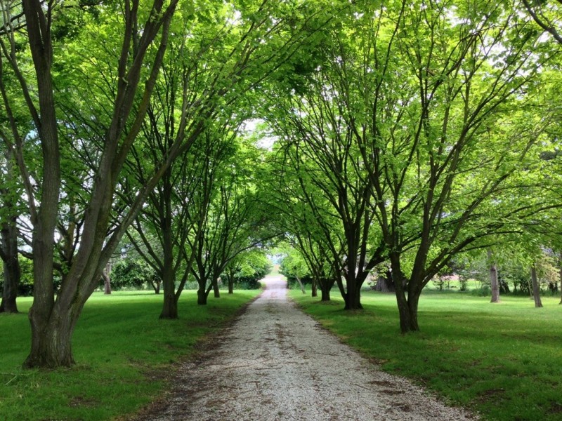 Epping Forest TAS 7211