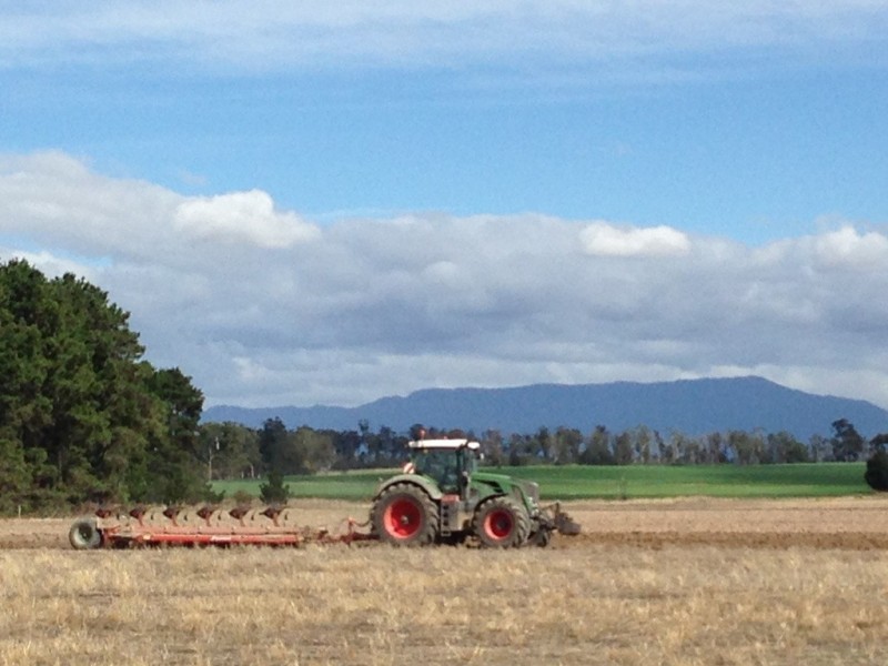 Epping Forest TAS 7211