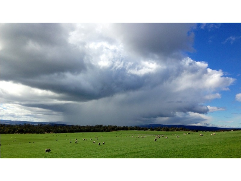 Epping Forest TAS 7211