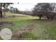 10 Quamby Street, Westbury TAS 7303