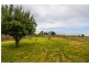 13 Norfolk Street, Perth TAS 7300