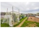 13 Norfolk Street, Perth TAS 7300
