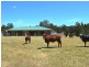 1951 Pipers River Road, Pipers River TAS 7252