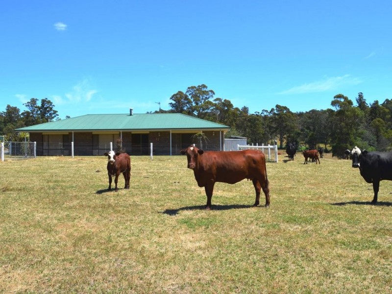 1951 Pipers River Road, Pipers River TAS 7252