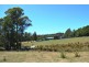1951 Pipers River Road, Pipers River TAS 7252