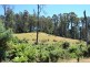 1951 Pipers River Road, Pipers River TAS 7252
