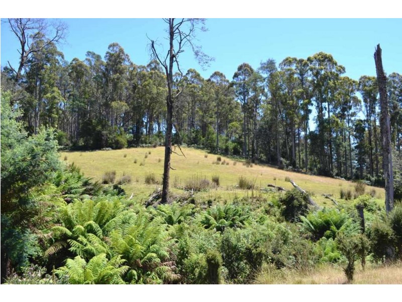 1951 Pipers River Road, Pipers River TAS 7252