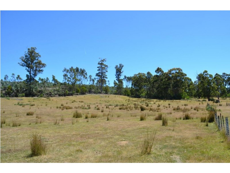 1951 Pipers River Road, Pipers River TAS 7252