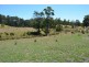 1951 Pipers River Road, Pipers River TAS 7252