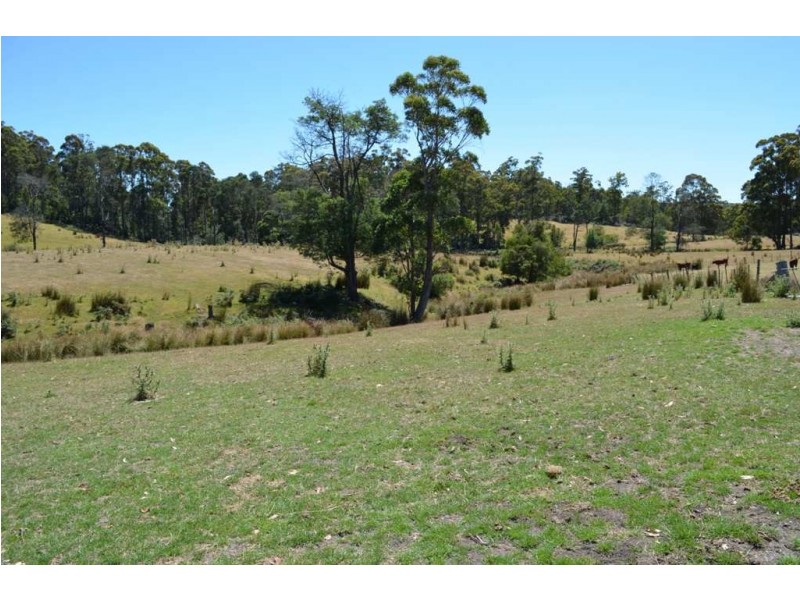 1951 Pipers River Road, Pipers River TAS 7252