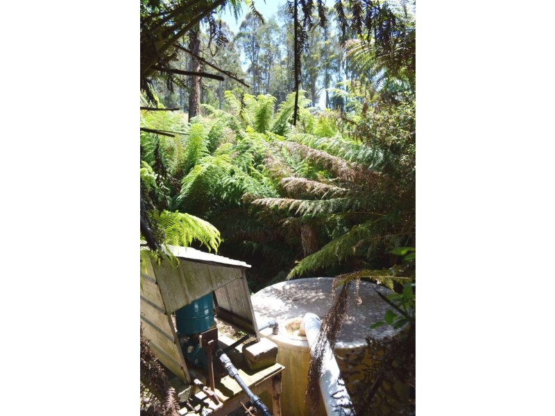 1951 Pipers River Road, Pipers River TAS 7252
