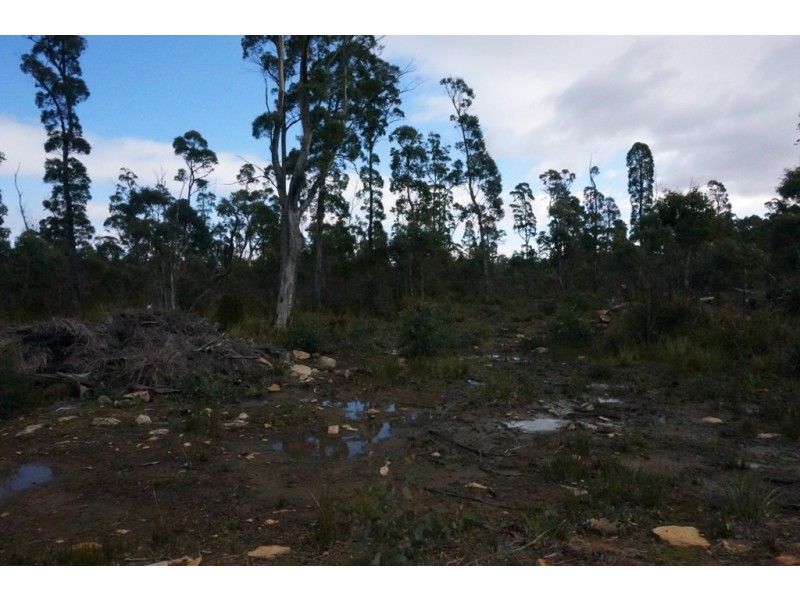 306 Prossers Road, Nunamara TAS 7259