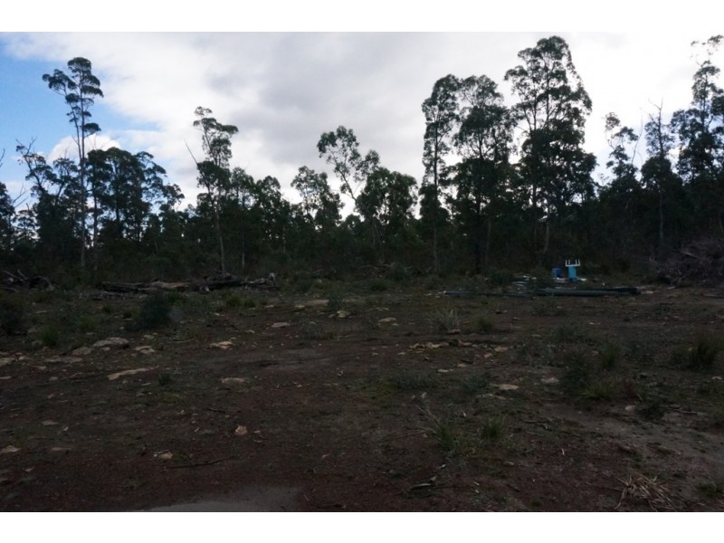 306 Prossers Road, Nunamara TAS 7259