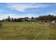 207 Meander Valley Road, Travellers Rest TAS 7250