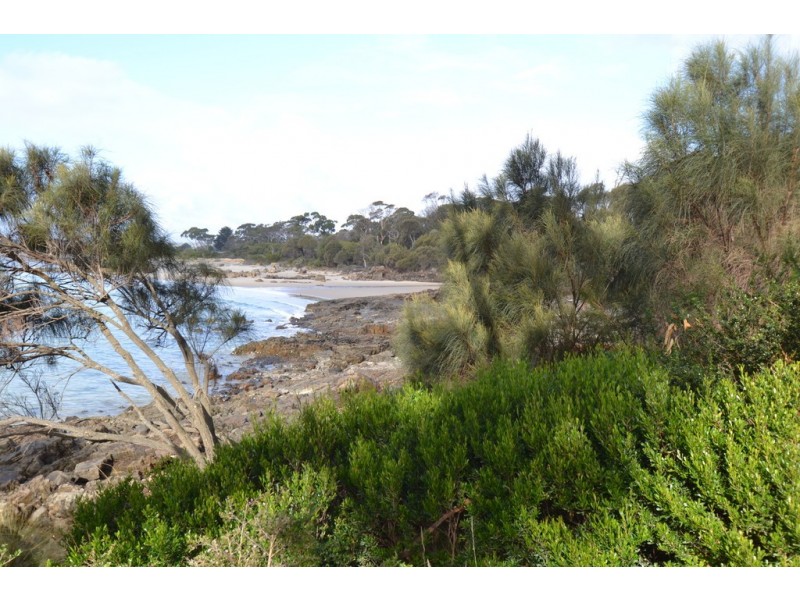 9 Barnett Crescent, Bridport TAS 7262