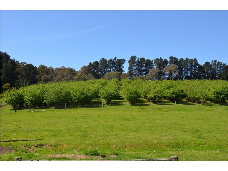 175 Leam Road, Hillwood TAS 7252