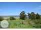 185 Windermere Road, Windermere TAS 7252