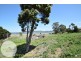 185 Windermere Road, Windermere TAS 7252