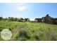 185 Windermere Road, Windermere TAS 7252