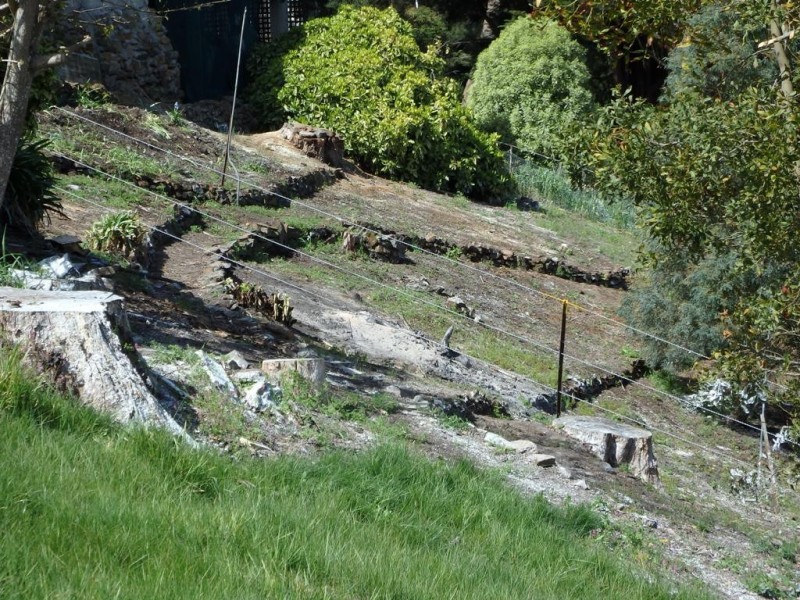 2/13 Dilston Road, Dilston TAS 7252