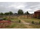 33 Percy Street, Carrick TAS 7291