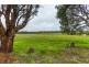 40 Soldiers Settlement Road, George Town TAS 7253