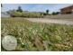 60 Emma Street, Bridport TAS 7262