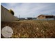 60 Emma Street, Bridport TAS 7262