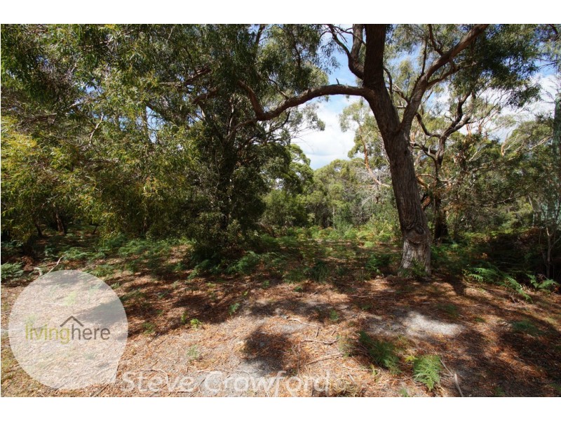60 North Ansons Road, Ansons Bay TAS 7216