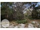 60 North Ansons Road, Ansons Bay TAS 7216
