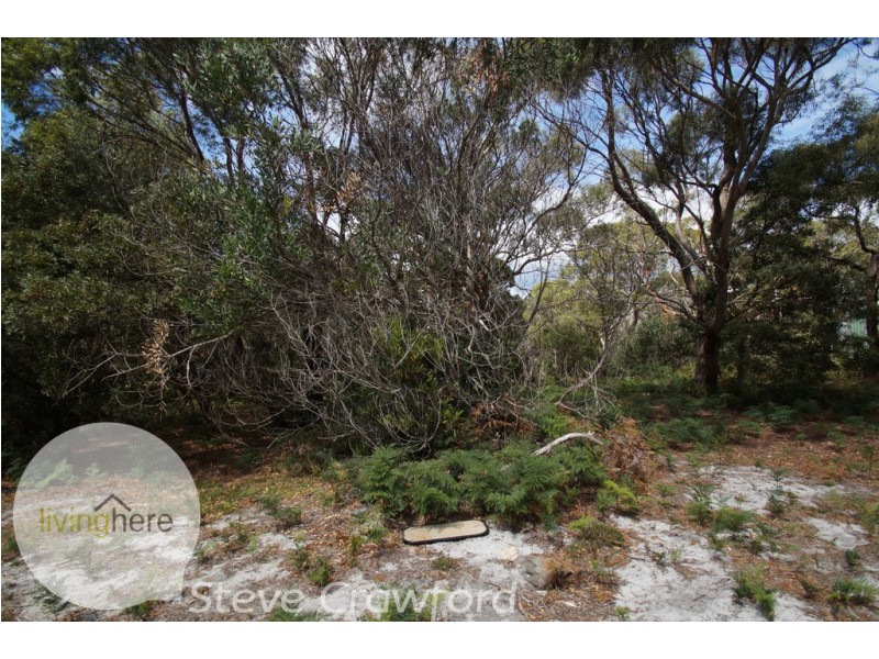 60 North Ansons Road, Ansons Bay TAS 7216