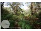 62 North Ansons Road, Ansons Bay TAS 7216