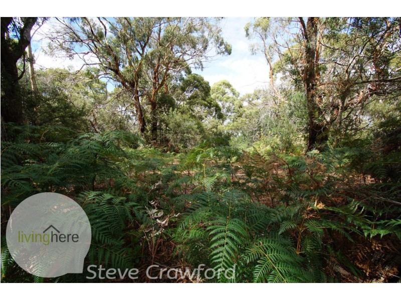 62 North Ansons Road, Ansons Bay TAS 7216